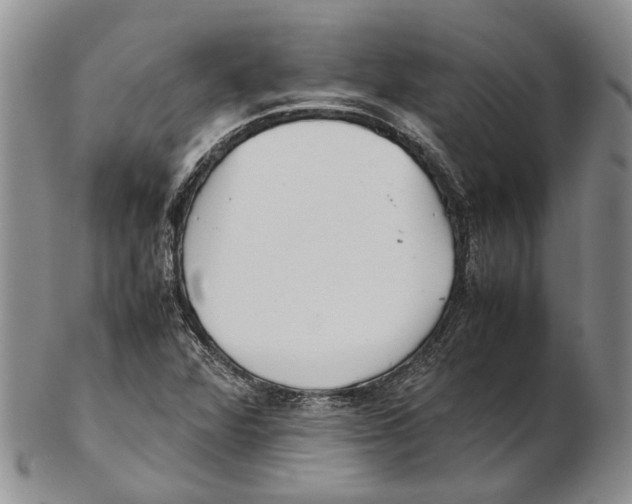 X0000102271360200808221428
