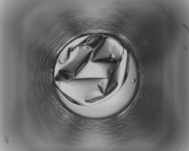 X0000102271361200808221428