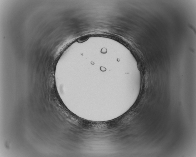 X0000102271363200808221428
