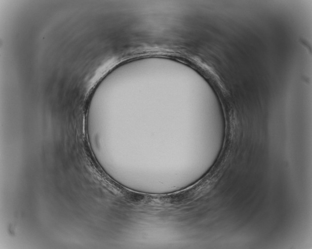 X0000102271365200808221428