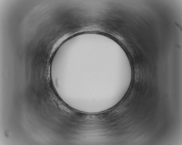 X0000102271366200808221428