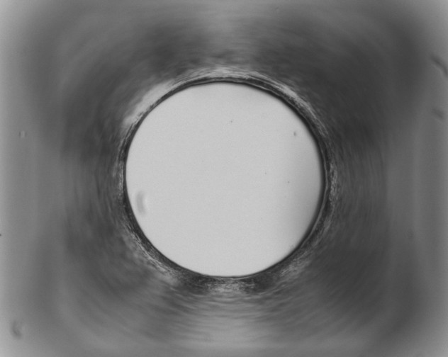 X0000102271367200808221428