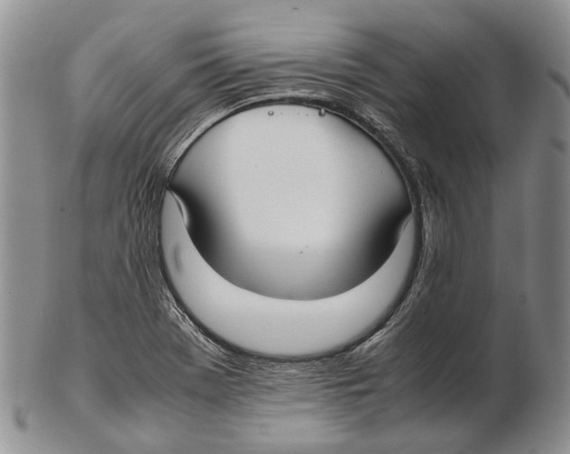 X0000102271369200808221428