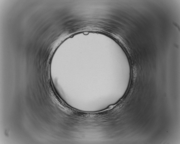 X0000102271371200808221428