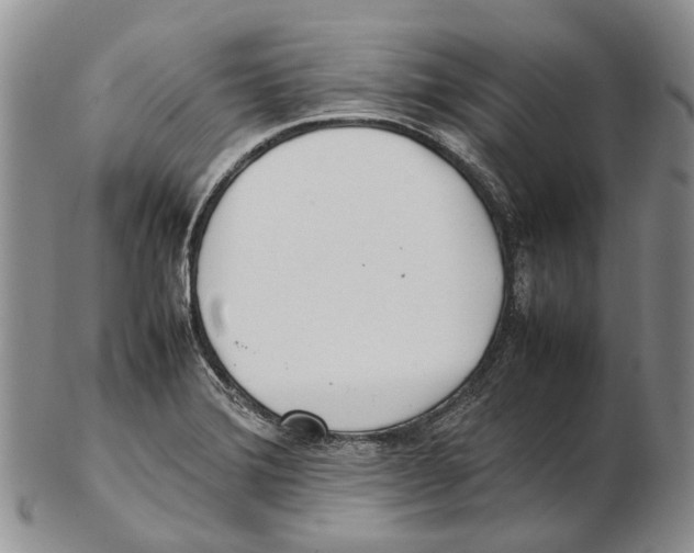 X0000102271372200808221428