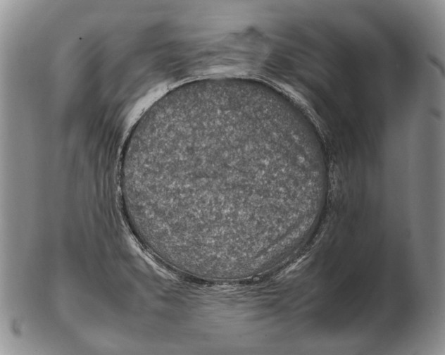 X0000102271373200808221428