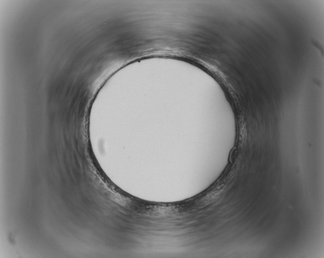 X0000102271375200808221428