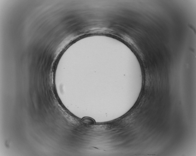 X0000102271376200808221428