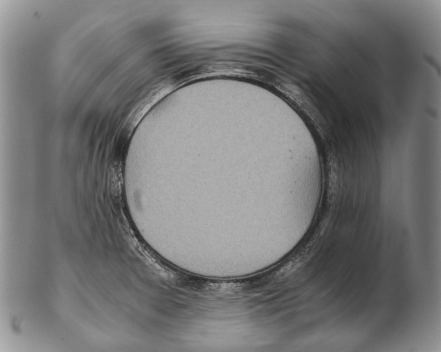 X0000102271377200808221428