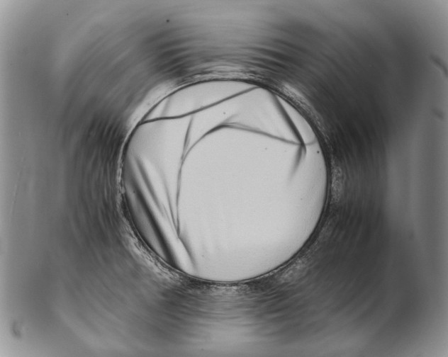 X0000102271378200808221428