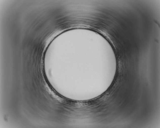 X0000102271379200808221428