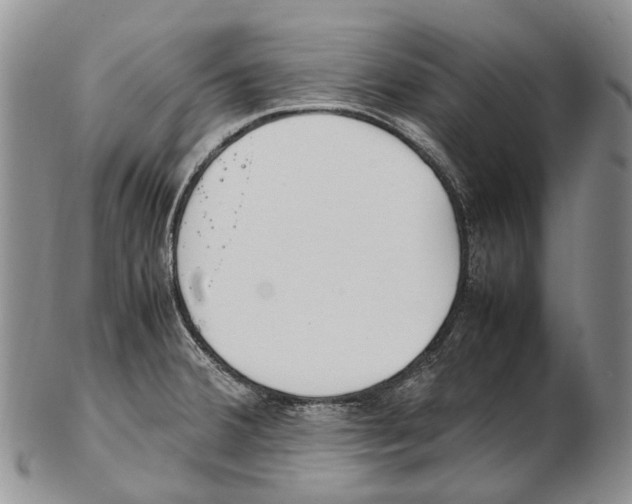 X0000102271380200808221428