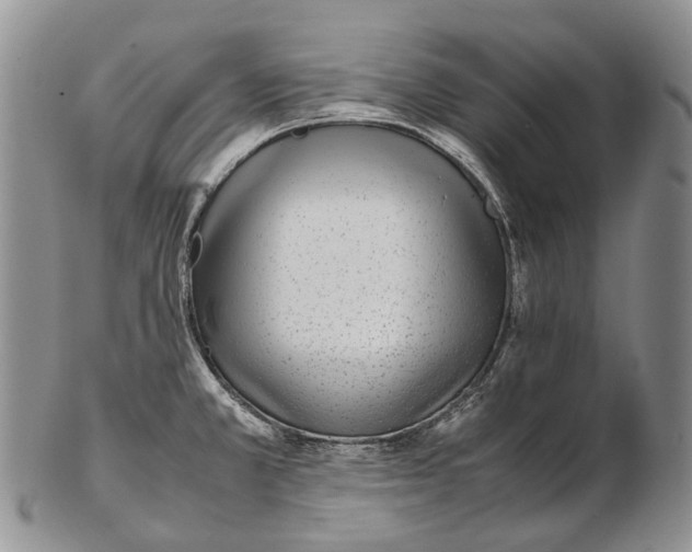 X0000102271381200808221428