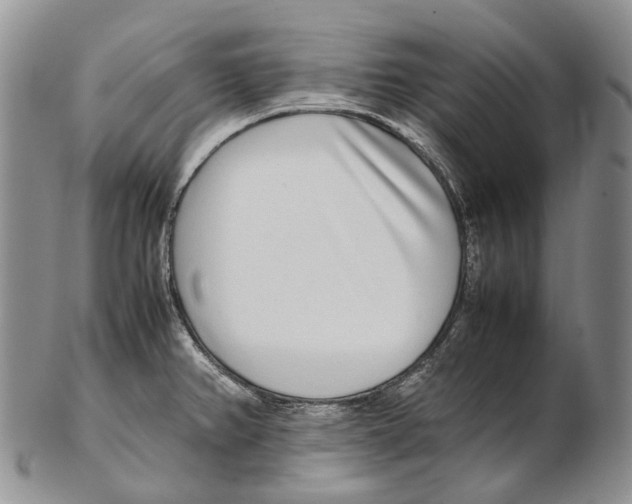 X0000102271382200808221428