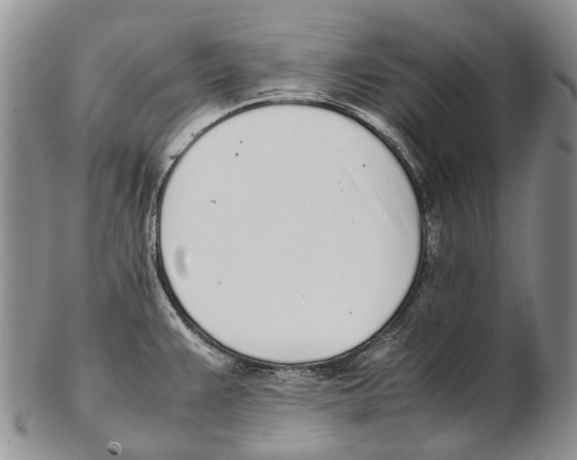 X0000102271383200808221428