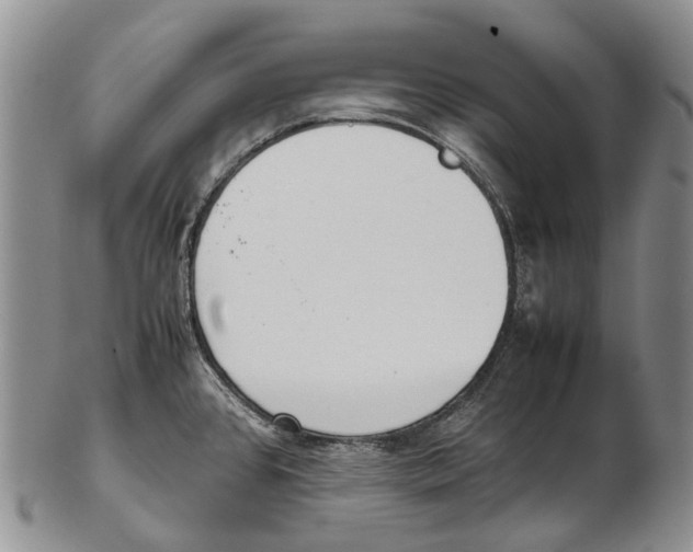 X0000102271384200808221428