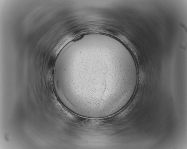 X0000102271385200808221428