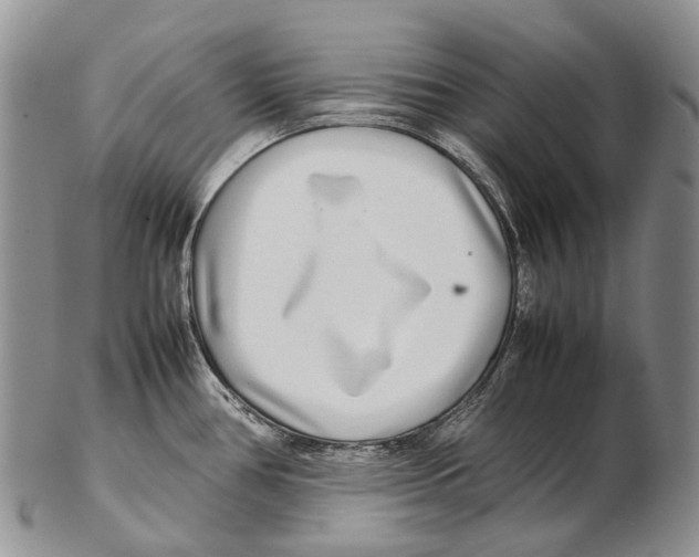 X0000102271386200808221428