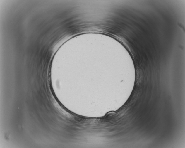 X0000102271387200808221428