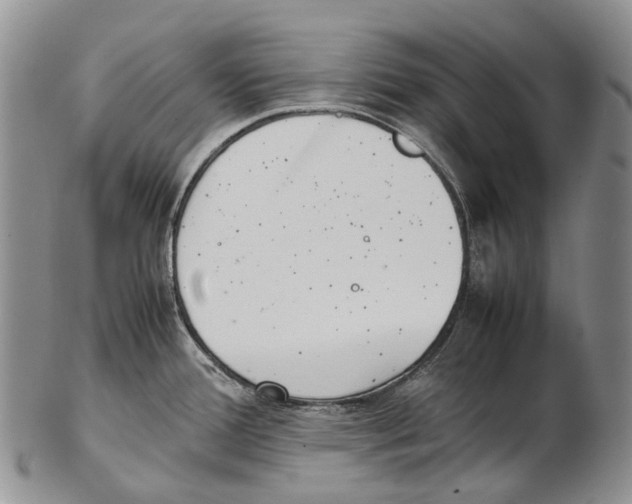 X0000102271388200808221428