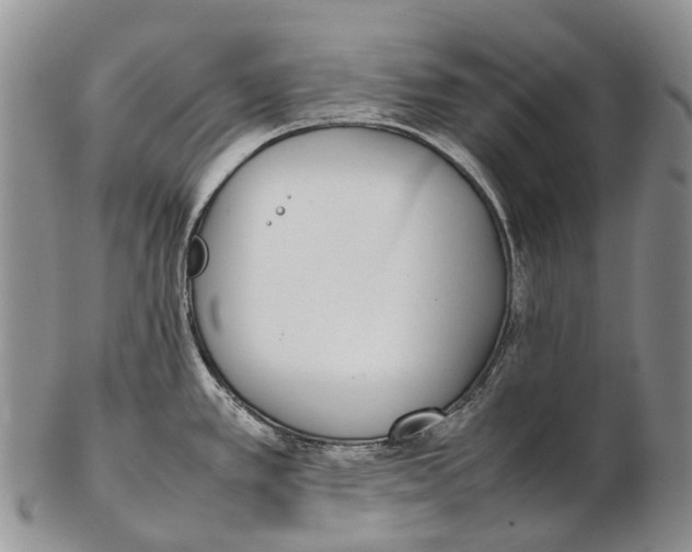 X0000102271389200808221428
