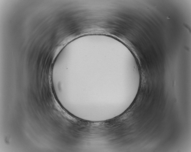X0000102271390200808221428