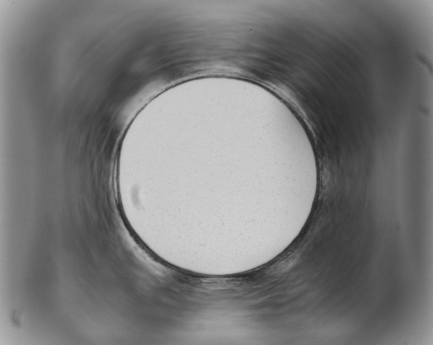X0000102271391200808221428