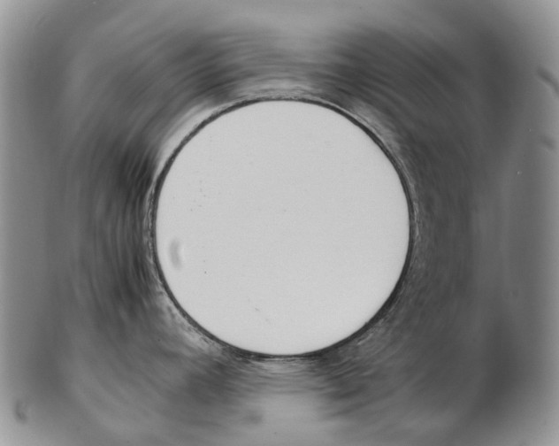 X0000102271392200808221428