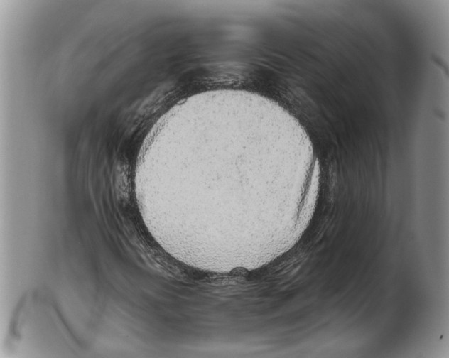 X0000102271394200808221427