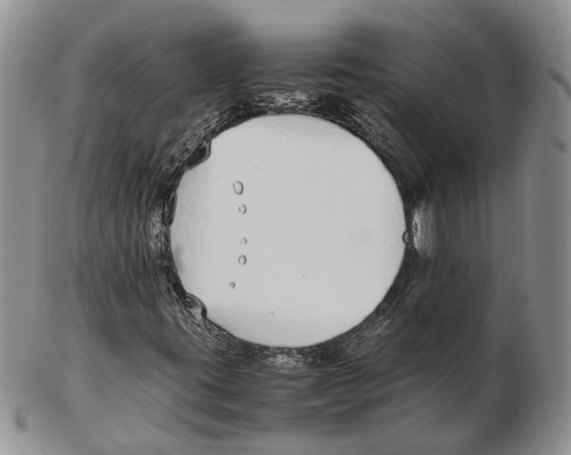 X0000102271395200808221427