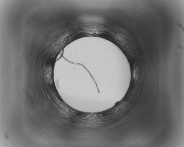 X0000102271396200808221427