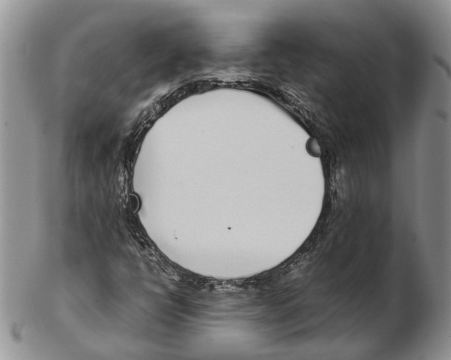 X0000102271398200808221427