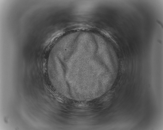X0000102271399200808221427