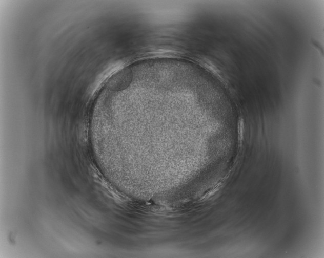 X0000102271405200808221427