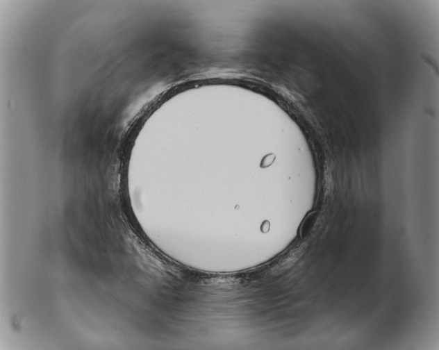 X0000102271406200808221427