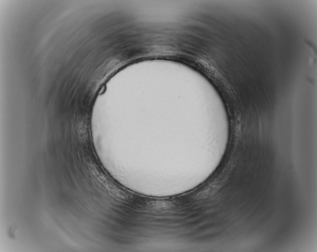 X0000102271409200808221427