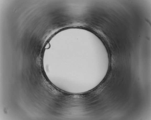 X0000102271412200808221427