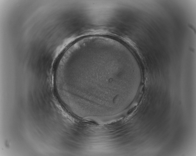 X0000102271414200808221427