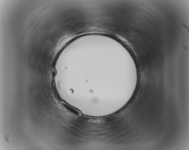 X0000102271415200808221428