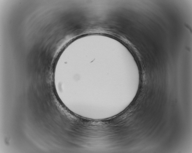 X0000102271416200808221428