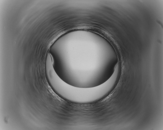 X0000102271417200808221428