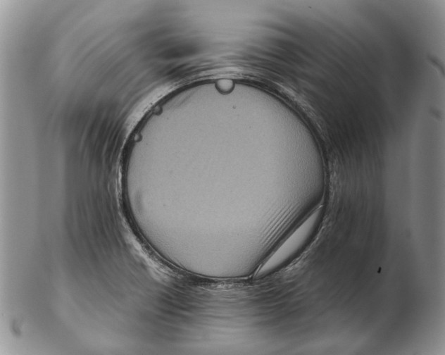 X0000102271418200808221428