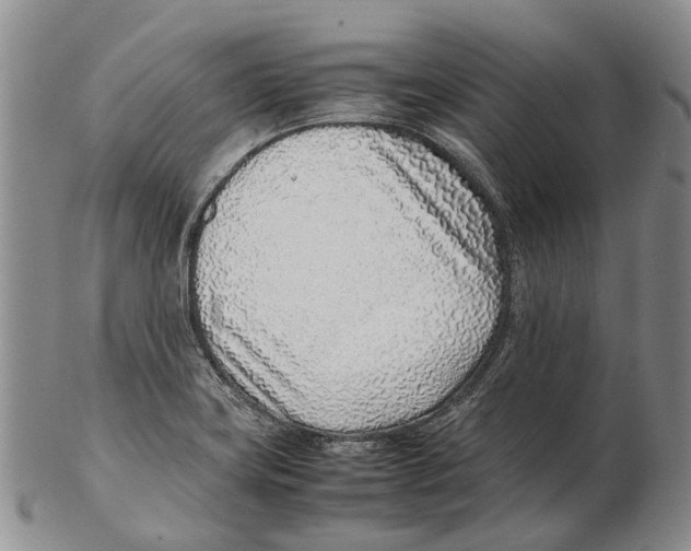 X0000102271419200808221428