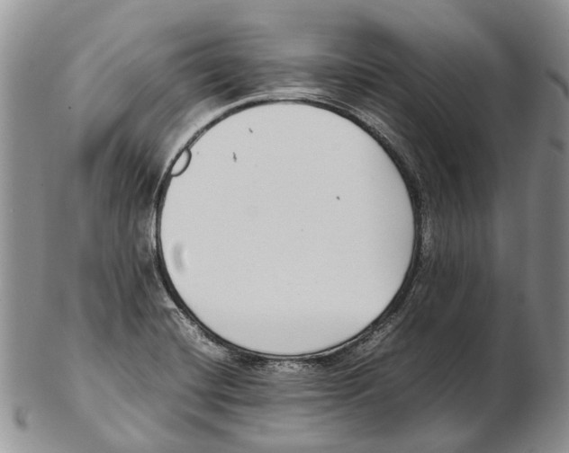 X0000102271420200808221428