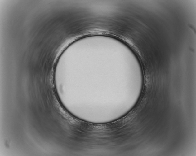 X0000102271421200808221428