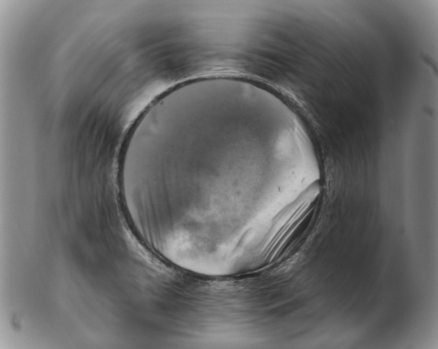 X0000102271422200808221428