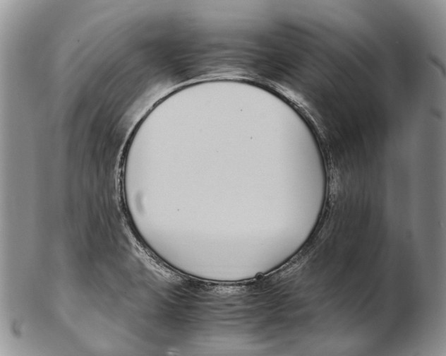 X0000102271423200808221428