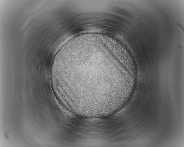 X0000102271425200808221428