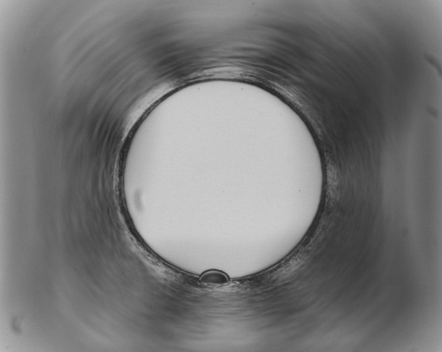 X0000102271426200808221428