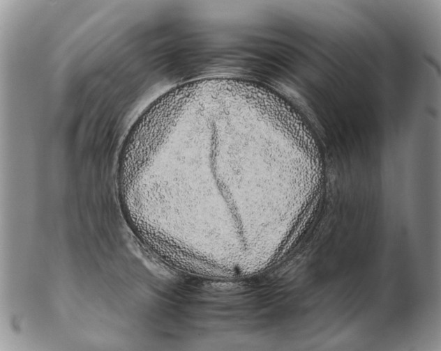 X0000102271427200808221428
